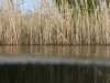 img_5466