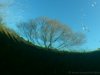 img_0014